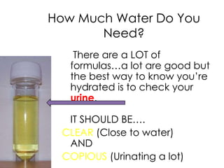 How Much Water Do You
       Need?
    There are a LOT of
   formulas…a lot are good but
   the best way to know you’re
   hydrated is to check your
   urine.

  IT SHOULD BE….
 CLEAR (Close to water)
  AND
 COPIOUS (Urinating a lot)
 