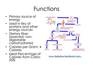 Functions
• Primary source of
  energy
• Used in lieu of
  proteins and other
  energy sources
• Dietary fiber-
  (essential, non-
  digestable
  carbohydrates)
• Calories per Gram: 4
  Calories
• Ideal Percentage of
  Calories from Carbs:
  55%
 