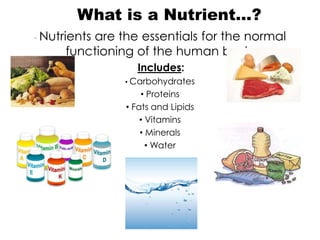 What is a Nutrient…?
- Nutrients
          are the essentials for the normal
      functioning of the human body
                  Includes:
               • Carbohydrates
                    • Proteins
                • Fats and Lipids
                    • Vitamins
                    • Minerals
                      • Water
 
