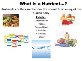 What is a Nutrient…?
- Nutrients   are the essentials for the normal functioning of the
                           human body
                              Includes:
                            • Carbohydrates
                                • Proteins
                            • Fats and Lipids
                               • Vitamins
                               • Minerals
                                 • Water
 