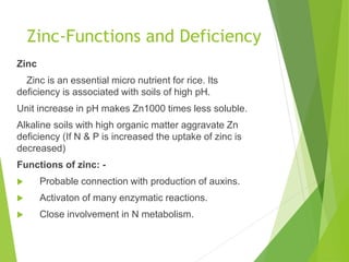 Zinc-Functions and Deficiency
Zinc
Zinc is an essential micro nutrient for rice. Its
deficiency is associated with soils of high pH.
Unit increase in pH makes Zn1000 times less soluble.
Alkaline soils with high organic matter aggravate Zn
deficiency (If N & P is increased the uptake of zinc is
decreased)
Functions of zinc: -
 Probable connection with production of auxins.
 Activaton of many enzymatic reactions.
 Close involvement in N metabolism.
 