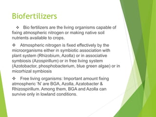 Biofertilizers
 Bio fertilizers are the living organisms capable of
fixing atmospheric nitrogen or making native soil
nutrients available to crops.
 Atmospheric nitrogen is fixed effectively by the
microorganisms either in symbiotic association with
plant system (Rhizobium, Azolla) or in associative
symbiosis (Azospirillum) or in free living system
(Azotobactor, phosphobacterium, blue green algae) or in
micorhizal symbiosis
 Free living organisms: Important amount fixing
atmospheric ‘N’ are BGA, Azolla, Azatobacter &
Rhizospirillum. Among them, BGA and Azolla can
survive only in lowland conditions.
 