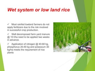 Wet system or low land rice
 Most rainfed lowland farmers do not
apply fertilizers due to the risk involved
in successful crop production.
 Well decomposed farm yard manure
@ 10 t/ha need to be applied two weeks
in advance.
 Application of nitrogen @ 40-60 kg,
phosphorus 20-40 kg and potassium 30
kg/ha meets the requirement of rice
plants
 