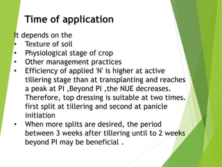 Time of application
It depends on the
• Texture of soil
• Physiological stage of crop
• Other management practices
• Efficiency of applied 'N' is higher at active
tillering stage than at transplanting and reaches
a peak at PI ,Beyond PI ,the NUE decreases.
Therefore, top dressing is suitable at two times.
first split at tillering and second at panicle
initiation
• When more splits are desired, the period
between 3 weeks after tillering until to 2 weeks
beyond PI may be beneficial .
 
