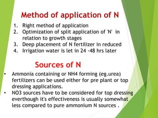 Method of application of N
1. Right method of application
2. Optimization of split application of 'N' in
relation to growth stages
3. Deep placement of N fertilizer in reduced
4. Irrigation water is let in 24 -48 hrs later
Sources of N
• Ammonia containing or NH4 forming (eg.urea)
fertilizers can be used either for pre plant or top
dressing applications.
• NO3 sources have to be considered for top dressing
everthough it's effectiveness is usually somewhat
less compared to pure ammonium N sources .
 