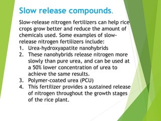Slow-release nitrogen fertilizers can help rice
crops grow better and reduce the amount of
chemicals used. Some examples of slow-
release nitrogen fertilizers include:
1. Urea-hydroxyapatite nanohybrids
2. These nanohybrids release nitrogen more
slowly than pure urea, and can be used at
a 50% lower concentration of urea to
achieve the same results.
3. Polymer-coated urea (PCU)
4. This fertilizer provides a sustained release
of nitrogen throughout the growth stages
of the rice plant.
Slow release compounds.
 