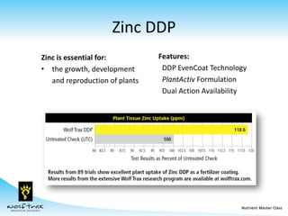 Ddp Formulation Model Nutrient Master Class for Turf Managers and Greenskeepers | PDF