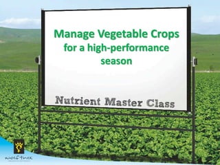Manage Vegetable Crops
for a high-performance
season
 