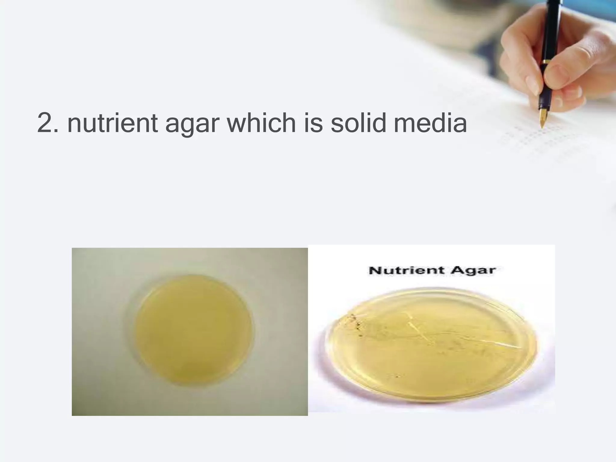 2. nutrient agar which is solid media
 