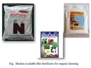 Fig . Market available Bio-fertilizers for organic farming
 
