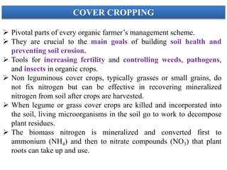  Pivotal parts of every organic farmer’s management scheme.
 They are crucial to the main goals of building soil health and
preventing soil erosion.
 Tools for increasing fertility and controlling weeds, pathogens,
and insects in organic crops.
 Non leguminous cover crops, typically grasses or small grains, do
not fix nitrogen but can be effective in recovering mineralized
nitrogen from soil after crops are harvested.
 When legume or grass cover crops are killed and incorporated into
the soil, living microorganisms in the soil go to work to decompose
plant residues.
 The biomass nitrogen is mineralized and converted first to
ammonium (NH4) and then to nitrate compounds (NO3) that plant
roots can take up and use.
COVER CROPPING
 