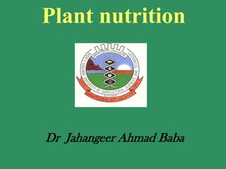 Plant nutrition
Dr Jahangeer Ahmad Baba
 
