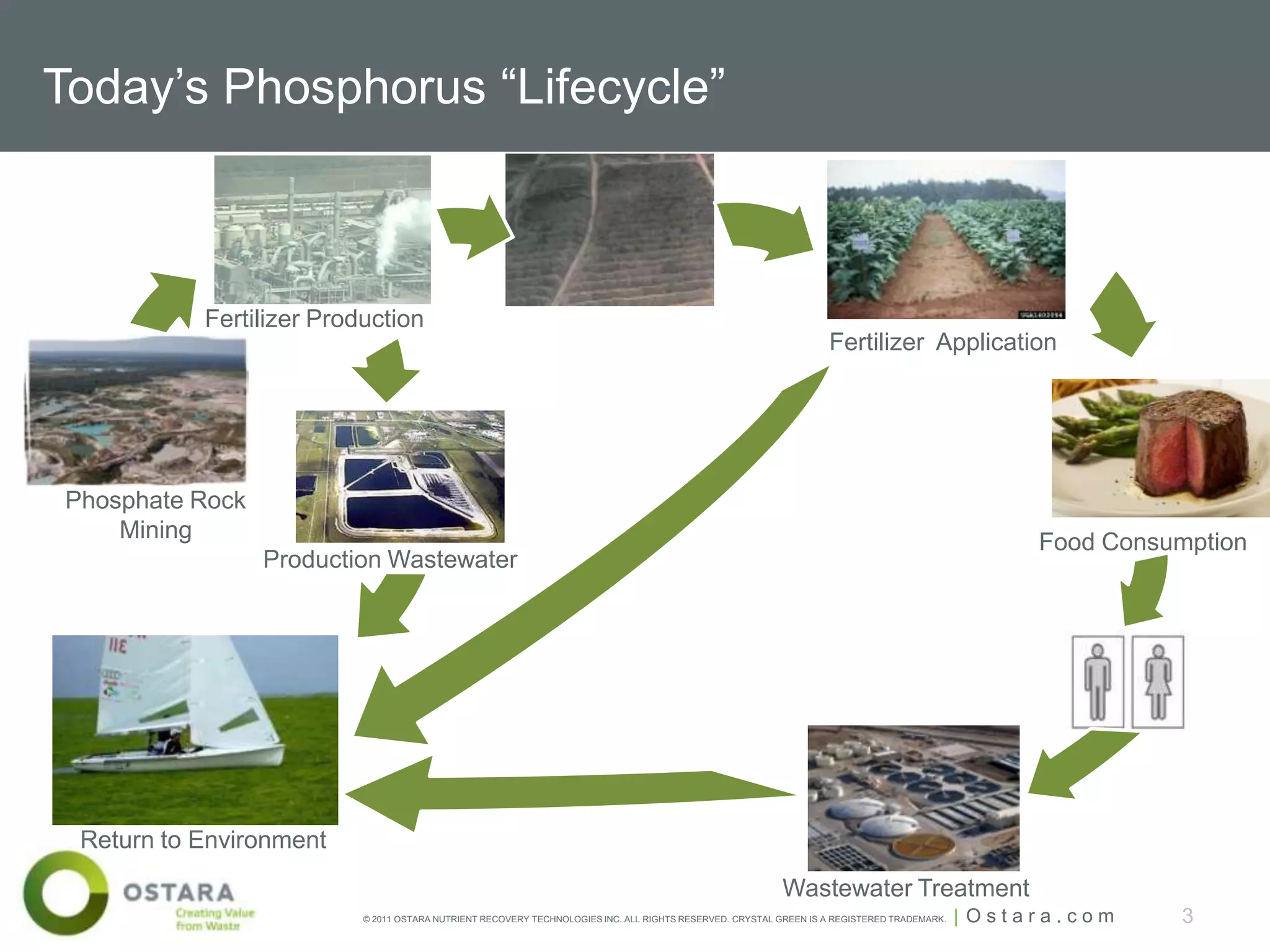 Today’s Phosphorus “Lifecycle”



           Fertilizer Production
                                                                                                                  Fertilizer Application




Phosphate Rock
    Mining                                                                                                                                        Food Consumption
                 Production Wastewater




 Return to Environment
                                                                                                         Wastewater Treatment
                          © 2011 OSTARA NUTRIENT RECOVERY TECHNOLOGIES INC. ALL RIGHTS RESERVED. CRYSTAL GREEN IS A REGISTERED TRADEMARK.   | Ostara.com    3
 