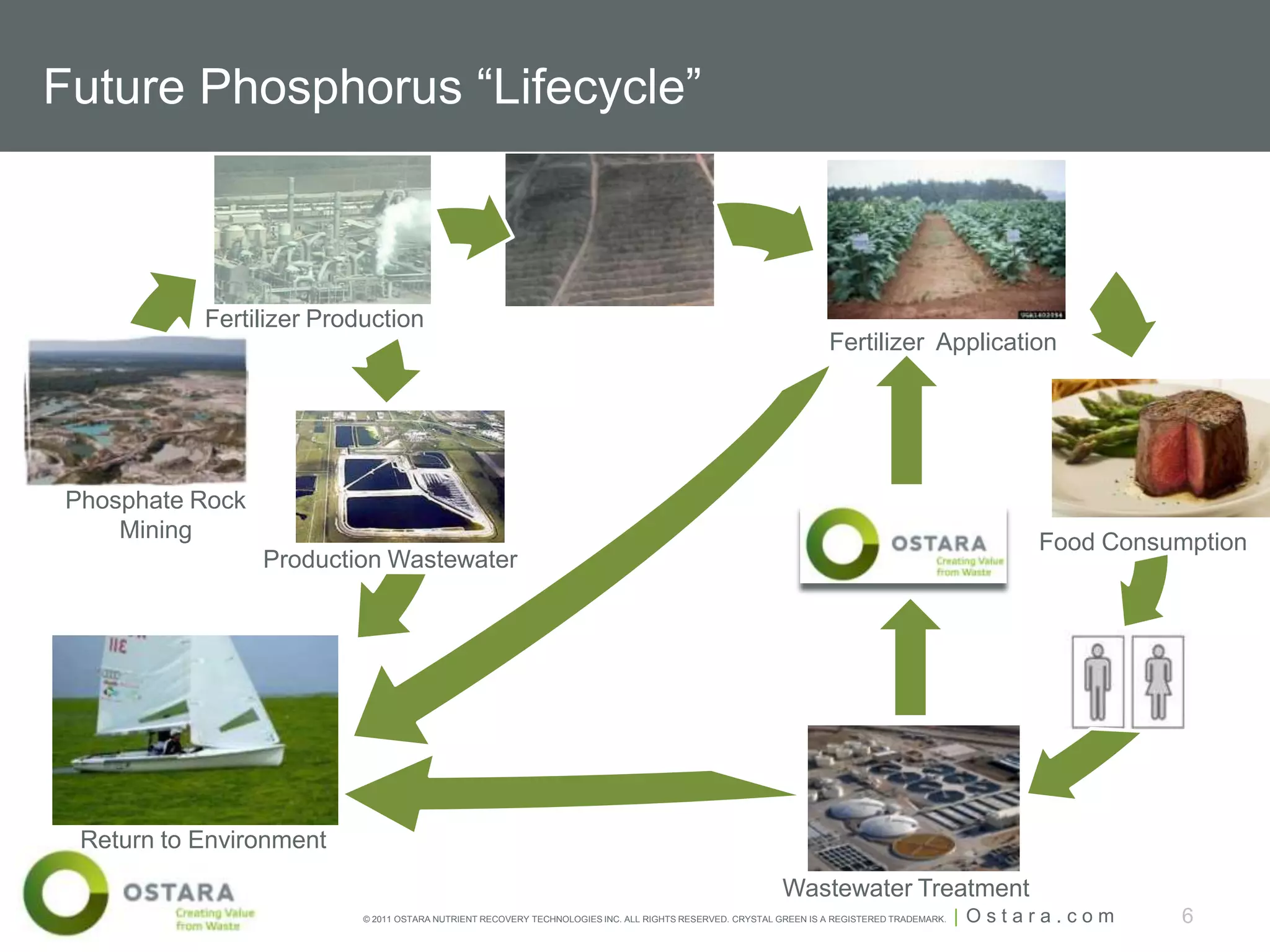 Future Phosphorus “Lifecycle”



           Fertilizer Production
                                                                                                                  Fertilizer Application




Phosphate Rock
    Mining                                                                                                                                        Food Consumption
                 Production Wastewater




 Return to Environment
                                                                                                         Wastewater Treatment
                          © 2011 OSTARA NUTRIENT RECOVERY TECHNOLOGIES INC. ALL RIGHTS RESERVED. CRYSTAL GREEN IS A REGISTERED TRADEMARK.   | Ostara.com    6
 