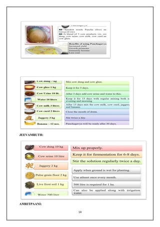 14
JEEVAMRUTH:
AMRITPAANI:
 