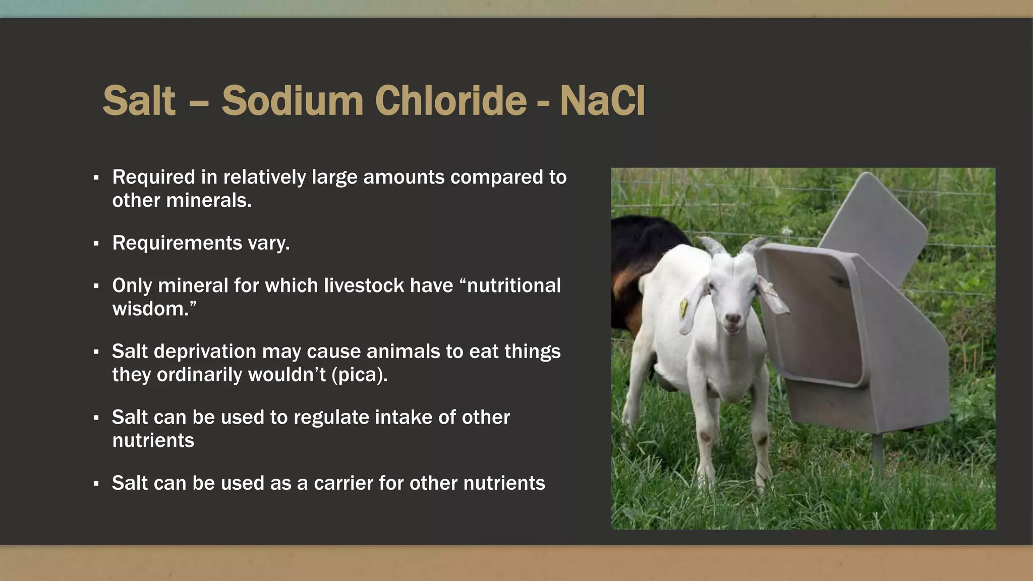 Salt – Sodium Chloride - NaCl
▪ Required in relatively large amounts compared to
other minerals.
▪ Requirements vary.
▪ Only mineral for which livestock have “nutritional
wisdom.”
▪ Salt deprivation may cause animals to eat things
they ordinarily wouldn’t (pica).
▪ Salt can be used to regulate intake of other
nutrients
▪ Salt can be used as a carrier for other nutrients
 
