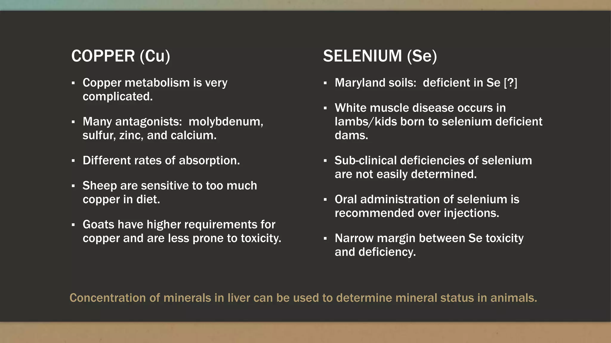 COPPER (Cu)
▪ Copper metabolism is very
complicated.
▪ Many antagonists: molybdenum,
sulfur, zinc, and calcium.
▪ Different rates of absorption.
▪ Sheep are sensitive to too much
copper in diet.
▪ Goats have higher requirements for
copper and are less prone to toxicity.
SELENIUM (Se)
▪ Maryland soils: deficient in Se [?]
▪ White muscle disease occurs in
lambs/kids born to selenium deficient
dams.
▪ Sub-clinical deficiencies of selenium
are not easily determined.
▪ Oral administration of selenium is
recommended over injections.
▪ Narrow margin between Se toxicity
and deficiency.
Concentration of minerals in liver can be used to determine mineral status in animals.
 