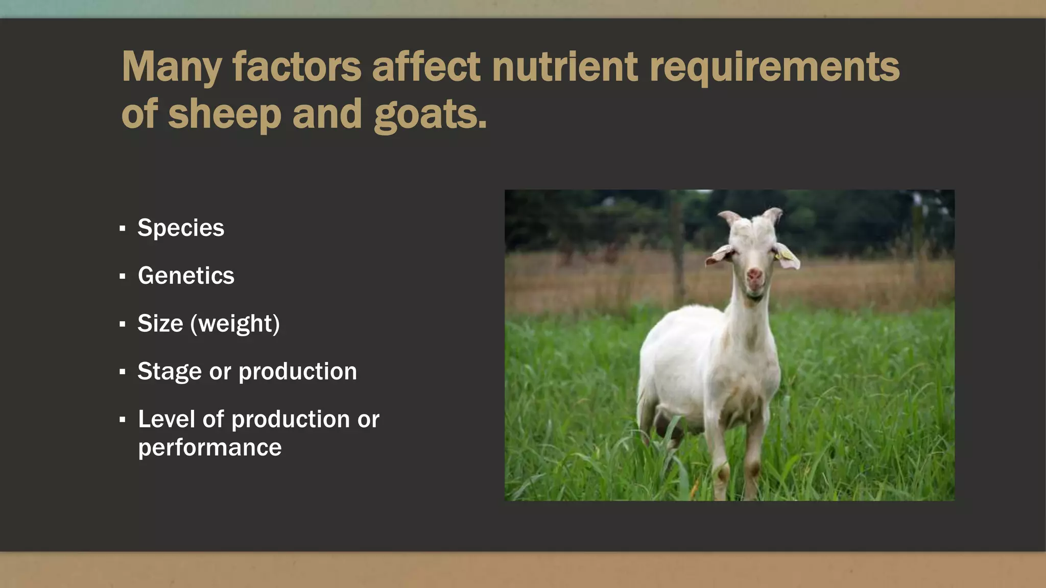 Many factors affect nutrient requirements
of sheep and goats.
▪ Species
▪ Genetics
▪ Size (weight)
▪ Stage or production
▪ Level of production or
performance
 