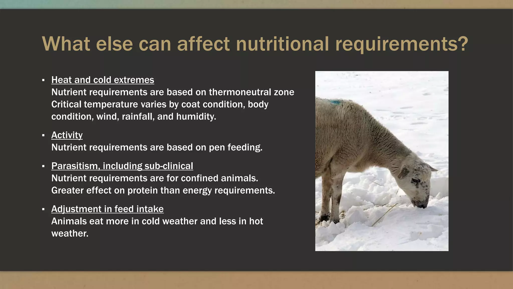 What else can affect nutritional requirements?
▪ Heat and cold extremes
Nutrient requirements are based on thermoneutral zone
Critical temperature varies by coat condition, body
condition, wind, rainfall, and humidity.
▪ Activity
Nutrient requirements are based on pen feeding.
▪ Parasitism, including sub-clinical
Nutrient requirements are for confined animals.
Greater effect on protein than energy requirements.
▪ Adjustment in feed intake
Animals eat more in cold weather and less in hot
weather.
 