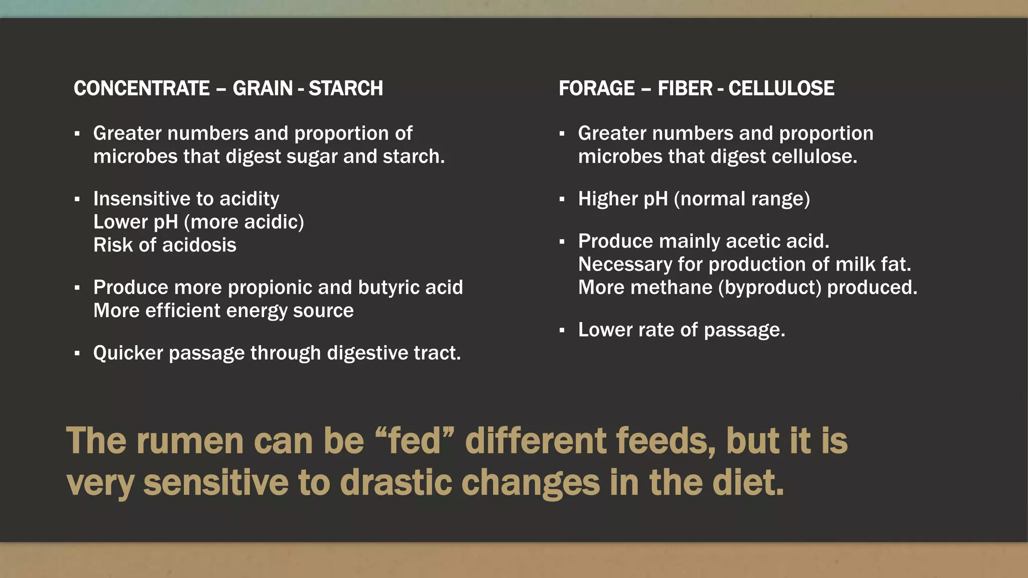 The rumen can be “fed” different feeds, but it is
very sensitive to drastic changes in the diet.
CONCENTRATE – GRAIN - STARCH
▪ Greater numbers and proportion of
microbes that digest sugar and starch.
▪ Insensitive to acidity
Lower pH (more acidic)
Risk of acidosis
▪ Produce more propionic and butyric acid
More efficient energy source
▪ Quicker passage through digestive tract.
FORAGE – FIBER - CELLULOSE
▪ Greater numbers and proportion
microbes that digest cellulose.
▪ Higher pH (normal range)
▪ Produce mainly acetic acid.
Necessary for production of milk fat.
More methane (byproduct) produced.
▪ Lower rate of passage.
 