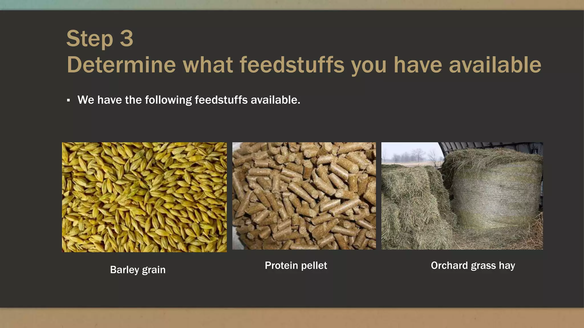 Step 3
Determine what feedstuffs you have available
▪ We have the following feedstuffs available.
Barley grain Protein pellet Orchard grass hay
 