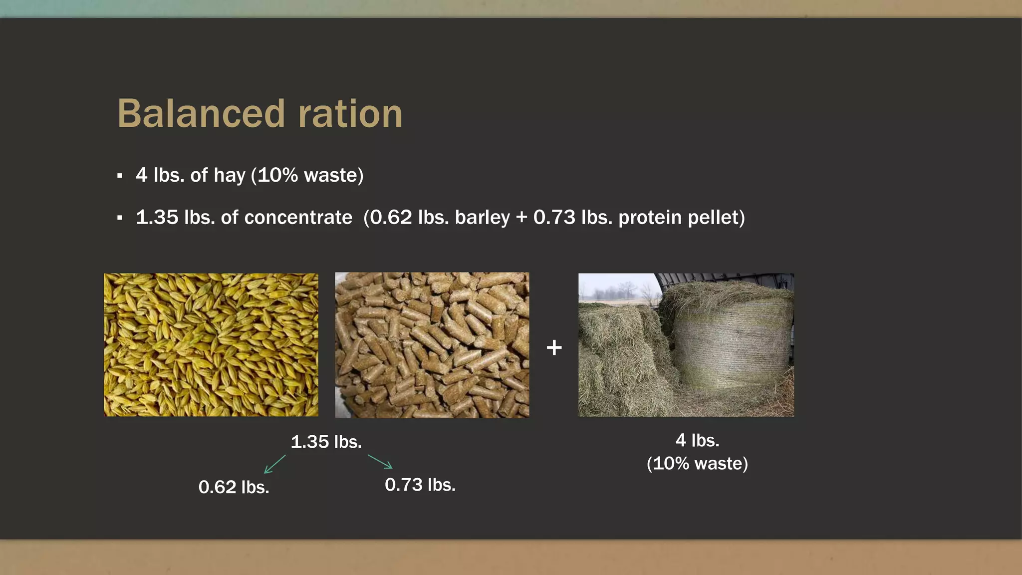 Balanced ration
▪ 4 lbs. of hay (10% waste)
▪ 1.35 lbs. of concentrate (0.62 lbs. barley + 0.73 lbs. protein pellet)
4 lbs.
(10% waste)
+
1.35 lbs.
0.62 lbs. 0.73 lbs.
 
