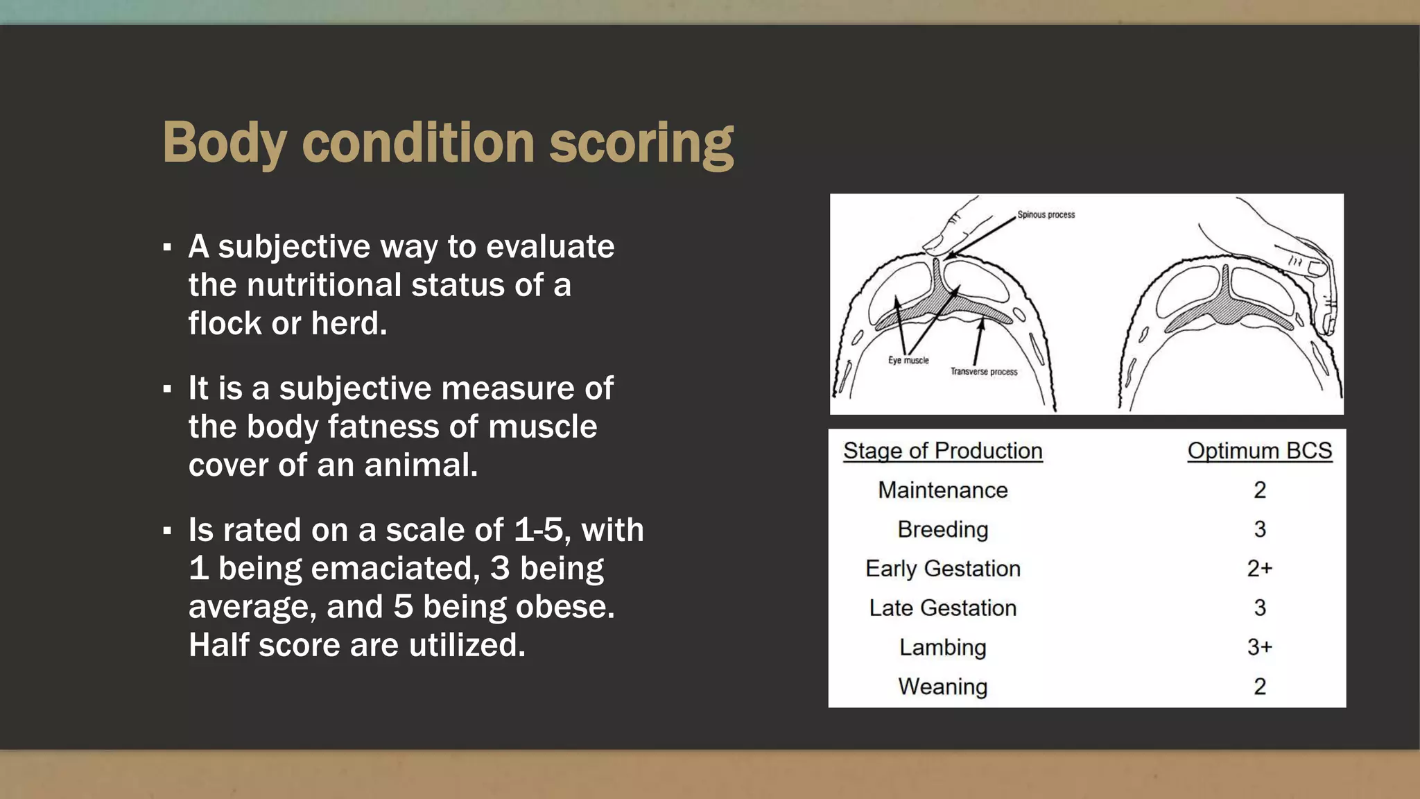 Body condition scoring
▪ A subjective way to evaluate
the nutritional status of a
flock or herd.
▪ It is a subjective measure of
the body fatness of muscle
cover of an animal.
▪ Is rated on a scale of 1-5, with
1 being emaciated, 3 being
average, and 5 being obese.
Half score are utilized.
 