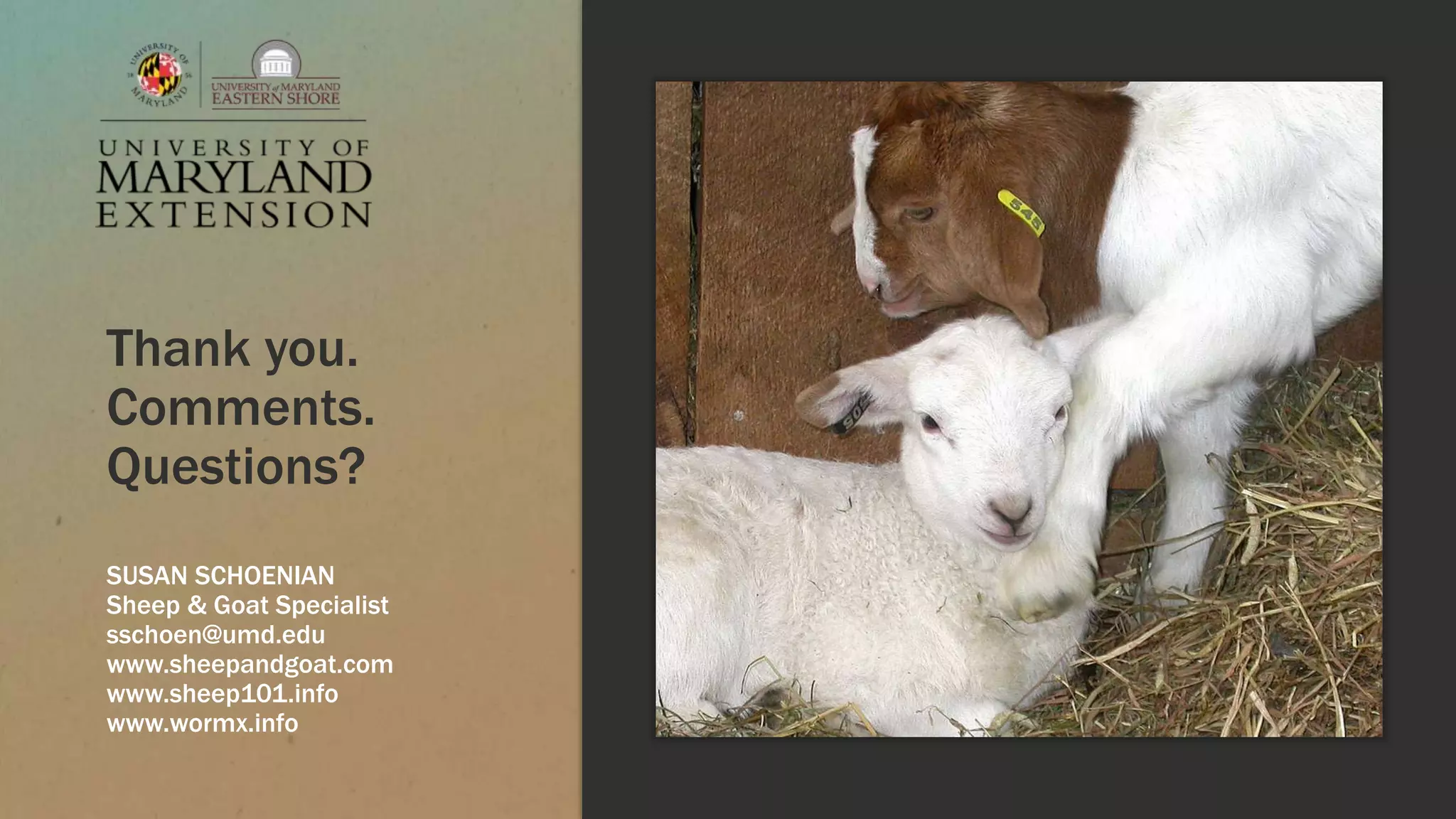 Thank you.
Comments.
Questions?
SUSAN SCHOENIAN
Sheep & Goat Specialist
sschoen@umd.edu
www.sheepandgoat.com
www.sheep101.info
www.wormx.info
 