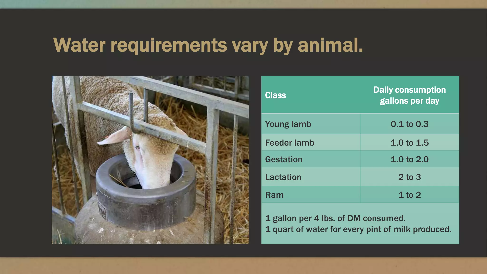 Water requirements vary by animal.
Class
Daily consumption
gallons per day
Young lamb 0.1 to 0.3
Feeder lamb 1.0 to 1.5
Gestation 1.0 to 2.0
Lactation 2 to 3
Ram 1 to 2
1 gallon per 4 lbs. of DM consumed.
1 quart of water for every pint of milk produced.
 