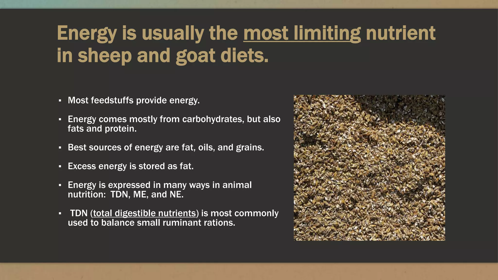 Energy is usually the most limiting nutrient
in sheep and goat diets.
▪ Most feedstuffs provide energy.
▪ Energy comes mostly from carbohydrates, but also
fats and protein.
▪ Best sources of energy are fat, oils, and grains.
▪ Excess energy is stored as fat.
▪ Energy is expressed in many ways in animal
nutrition: TDN, ME, and NE.
▪ TDN (total digestible nutrients) is most commonly
used to balance small ruminant rations.
 