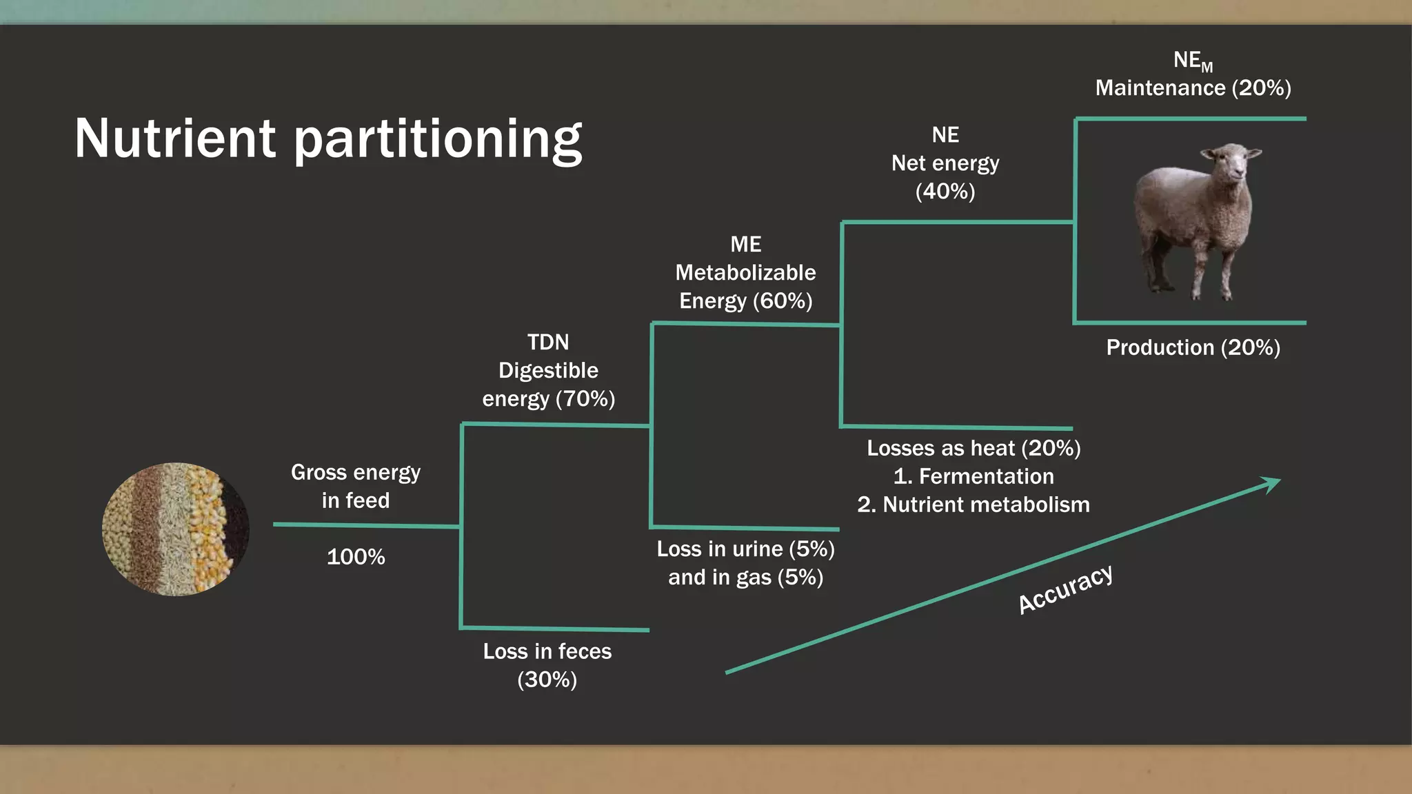 Gross energy
in feed
100%
TDN
Digestible
energy (70%)
Loss in feces
(30%)
ME
Metabolizable
Energy (60%)
Loss in urine (5%)
and in gas (5%)
NE
Net energy
(40%)
Losses as heat (20%)
1. Fermentation
2. Nutrient metabolism
NEM
Maintenance (20%)
Production (20%)
Nutrient partitioning
 