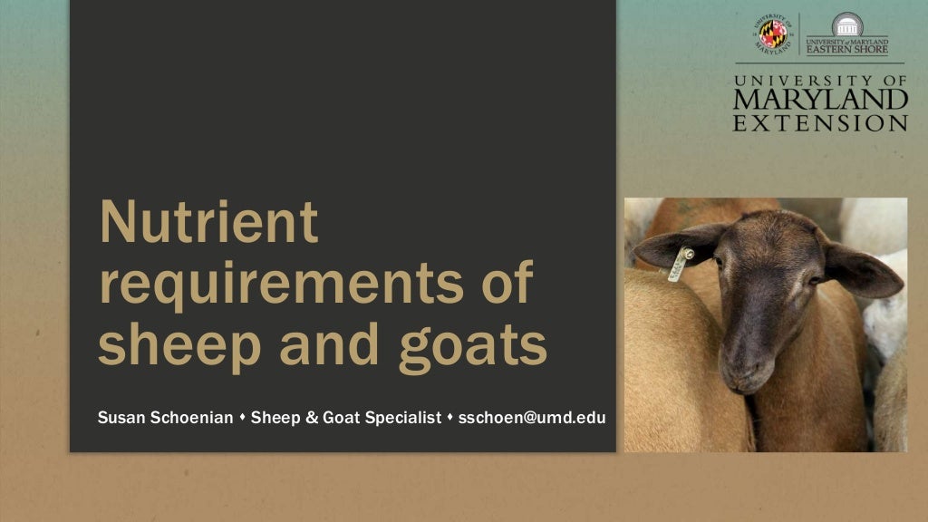 Nutrient requirements of sheep and goats