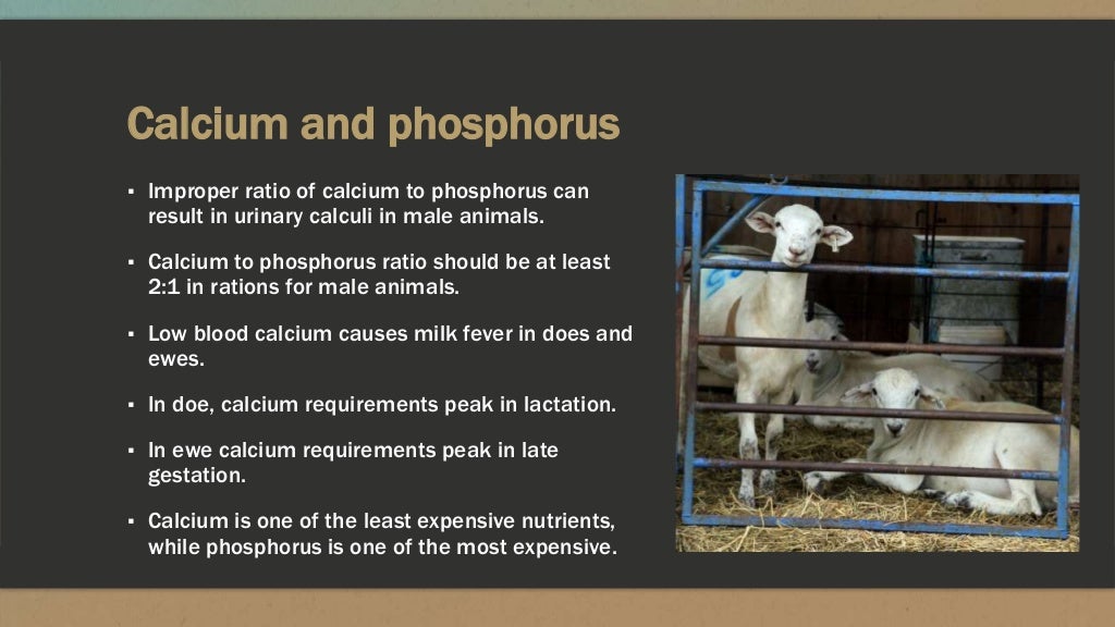 Nutrient requirements of sheep and goats