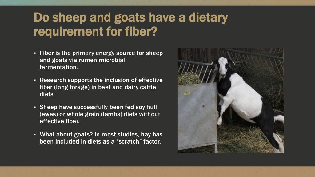 Nutrient requirements of sheep and goats