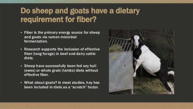 nutrient requirements of sheep and goats goats diets