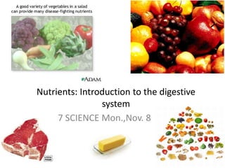 Nutrients: Introduction to the digestive
system
7 SCIENCE Mon.,Nov. 8
 
