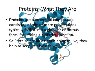 Proteins, What They Are
• Proteins-are biochemical compounds
  consisting of one or more polypeptides
  typically folded into a globular or fibrous
  form, facilitating a biological function.
• So Proteins are an essential thing to live, they
  help to keep us alive and well.
 
