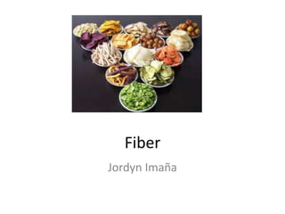 Fiber
Jordyn Imaña
 
