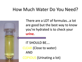 How Much Water Do You Need?

      There are a LOT of formulas…a lot
      are good but the best way to know
      you’re hydrated is to check your
      urine.

      IT SHOULD BE….
    CLEAR (Close to water)
      AND
    COPIOUS (Urinating a lot)
 