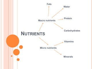 Fats
                         Water




                         Protein
      Macro nutrients



                         Carbohydrates
NUTRIENTS
                         Vitamins

       Micro nutrients


                         Minerals
 