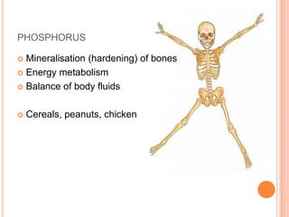PHOSPHORUS

 Mineralisation (hardening) of bones
 Energy metabolism

 Balance of body fluids



   Cereals, peanuts, chicken
 