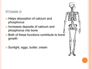 VITAMIN D
 Helps absorption of calcium and
  phosphorus
 Increases deposits of calcium and
  phosphorus into bone
 Both of these functions contribute to bone
  growth

   Sunlight, eggs, butter, cream
 