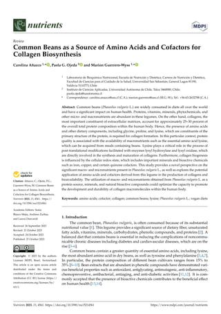 Citation: Añazco, C.; Ojeda, P.G.;
Guerrero-Wyss, M. Common Beans
as a Source of Amino Acids and
Cofactors for Collagen Biosynthesis.
Nutrients 2023, 15, 4561. https://
doi.org/10.3390/nu15214561
Academic Editors: Sonia
Blanco Mejia, Andreea Zurbau
and Laura Chiavaroli
Received: 26 September 2023
Revised: 21 October 2023
Accepted: 24 October 2023
Published: 27 October 2023
Copyright: © 2023 by the authors.
Licensee MDPI, Basel, Switzerland.
This article is an open access article
distributed under the terms and
conditions of the Creative Commons
Attribution (CC BY) license (https://
creativecommons.org/licenses/by/
4.0/).
nutrients
Review
Common Beans as a Source of Amino Acids and Cofactors for
Collagen Biosynthesis
Carolina Añazco 1,* , Paola G. Ojeda 2 and Marion Guerrero-Wyss 1,*
1 Laboratorio de Bioquímica Nutricional, Escuela de Nutrición y Dietética, Carrera de Nutrición y Dietética,
Facultad de Ciencias para el Cuidado de la Salud, Universidad San Sebastián, General Lagos #1190,
Valdivia 5110773, Chile
2 Instituto de Ciencias Aplicadas, Universidad Autónoma de Chile, Talca 3460000, Chile;
paola.ojeda@uautonoma.cl
* Correspondence: carolina.anazco@uss.cl (C.A.); marion.guerrero@uss.cl (M.G.-W.); Tel.: +56-63-2632788 (C.A.)
Abstract: Common beans (Phaseolus vulgaris L.) are widely consumed in diets all over the world
and have a significant impact on human health. Proteins, vitamins, minerals, phytochemicals, and
other micro- and macronutrients are abundant in these legumes. On the other hand, collagens, the
most important constituent of extracellular matrices, account for approximately 25–30 percent of
the overall total protein composition within the human body. Hence, the presence of amino acids
and other dietary components, including glycine, proline, and lysine, which are constituents of the
primary structure of the protein, is required for collagen formation. In this particular context, protein
quality is associated with the availability of macronutrients such as the essential amino acid lysine,
which can be acquired from meals containing beans. Lysine plays a critical role in the process of
post-translational modifications facilitated with enzymes lysyl hydroxylase and lysyl oxidase, which
are directly involved in the synthesis and maturation of collagens. Furthermore, collagen biogenesis
is influenced by the cellular redox state, which includes important minerals and bioactive chemicals
such as iron, copper, and certain quinone cofactors. This study provides a novel perspective on the
significant macro- and micronutrients present in Phaseolus vulgaris L., as well as explores the potential
application of amino acids and cofactors derived from this legume in the production of collagens and
bioavailability. The utilization of macro- and micronutrients obtained from Phaseolus vulgaris L. as a
protein source, minerals, and natural bioactive compounds could optimize the capacity to promote
the development and durability of collagen macromolecules within the human body.
Keywords: amino acids; cofactor; collagen; common beans; lysine; Phaseolus vulgaris L.; vegan diets
1. Introduction
The common bean, Phaseolus vulgaris, is often consumed because of its substantial
nutritional value [1]. This legume provides a significant source of dietary fiber, unsaturated
fatty acids, vitamins, minerals, carbohydrates, phenolic compounds, and proteins [2]. A
balanced diet that contains beans is essential in reducing the complications of noncommu-
nicable chronic diseases including diabetes and cardiovascular diseases, which are on the
rise [3–6].
Common beans contain a greater quantity of essential amino acids, including lysine,
the most abundant amino acid in dry beans, as well as tyrosine and phenylalanine [1,4,7].
In particular, the protein composition of different bean cultivars ranges from 15% to
35% [8–10]. Bean extracts that are abundant in phenolic compounds have demonstrated vari-
ous beneficial properties such as antioxidant, antiglycating, antimutagenic, anti-inflammatory,
chemopreventive, antibacterial, antiaging, and anti-diabetic activities [11,12]. It is com-
monly accepted that the presence of bioactive chemicals contributes to the beneficial effect
on human health [13,14].
Nutrients 2023, 15, 4561. https://doi.org/10.3390/nu15214561 https://www.mdpi.com/journal/nutrients
 