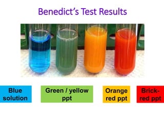 Benedict’s Test Results
Brick-
red ppt
Orange
red ppt
Green / yellow
ppt
Blue
solution
 