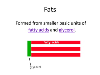 Fats
Formed from smaller basic units of
fatty acids and glycerol.
 