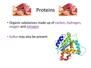 Proteins
• Organic substances made up of carbon, hydrogen,
oxygen and nitrogen
• Sulfur may also be present
 