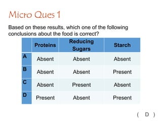 Based on these results, which one of the following
conclusions about the food is correct?
Micro Ques 1
( D )
Proteins
Reducing
Sugars
Starch
A
Absent Absent Absent
B
Absent Absent Present
C
Absent Present Absent
D
Present Absent Present
 