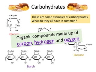 Carbohydrates
Fructose
Glucose
Sucrose
These are some examples of carbohydrates.
What do they all have in common?
Starch
 