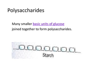 Polysaccharides
Many smaller basic units of glucose
joined together to form polysaccharides.
 