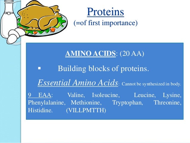 Proteins
(=of first importance)
ï‚— Complex organic nitrogenous compounds
ï‚— Primary structural & functional component
of eve...